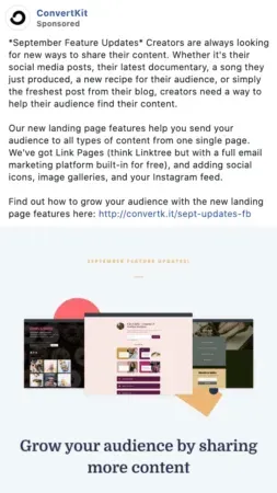 SaaS Facebook advertising.