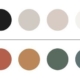 Unique Branding Color Palette For Business.